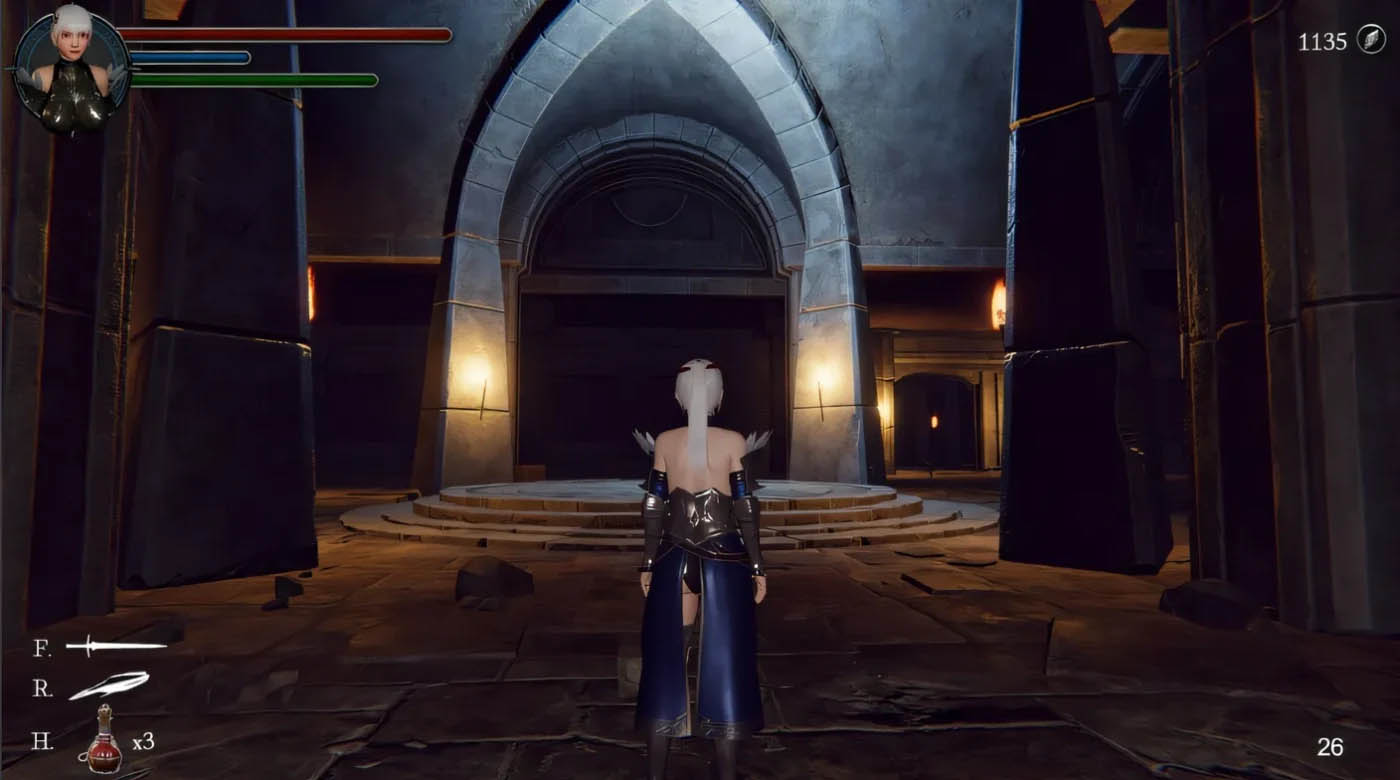[PC游戏] 地下城的女骑士 Steam官方中文版 [新作/1.6G]
