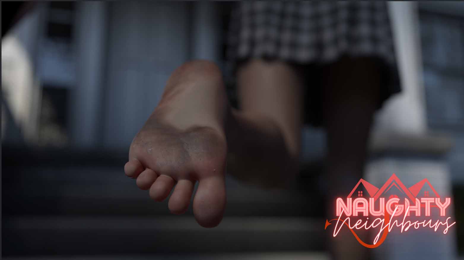 淘气邻居 Naughty Neighbours v0.65 PC+安卓中文版