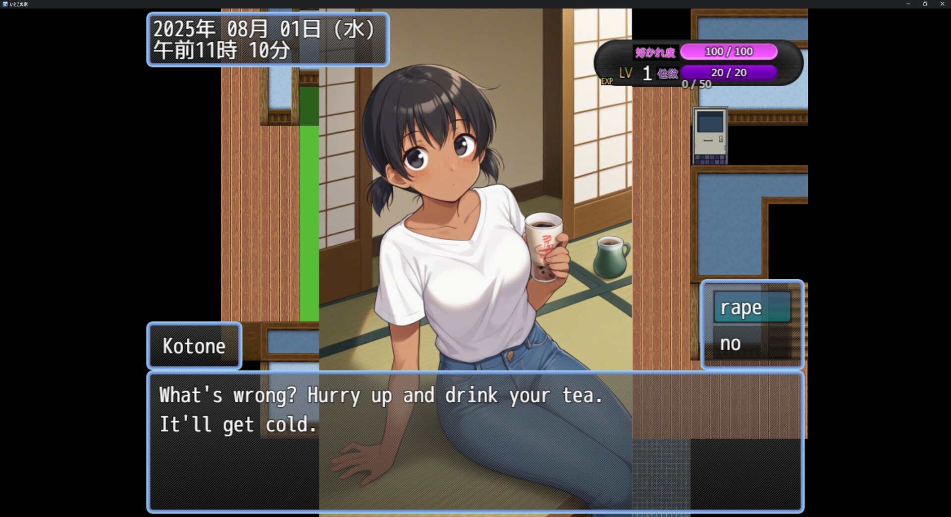 表妹的家いとこの家 中文版