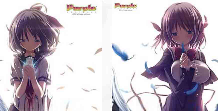 母社及子社Purple software